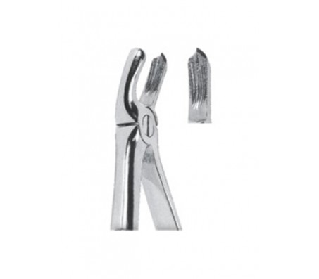 Extracting Forceps